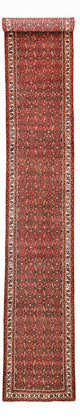Läufer Perser - Nomadic - 592 x 76 cm - rost