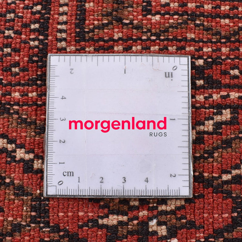 Turkaman Rug - 289 x 191 cm - red