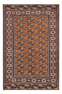 Turkaman Rug - 303 x 200 cm - multicolored