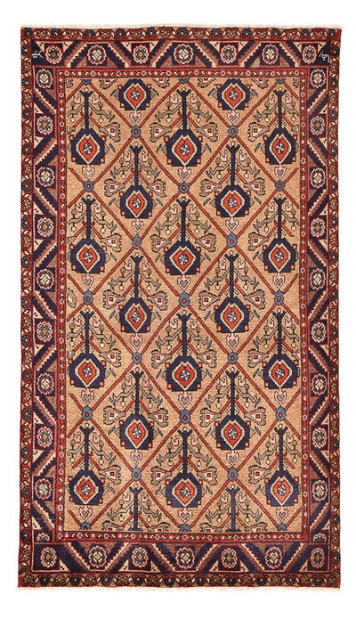 Kolyai Rug 128x223cm - Persian Rugs