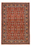 Perser Rug - Bidjar - 207 x 139 cm - red