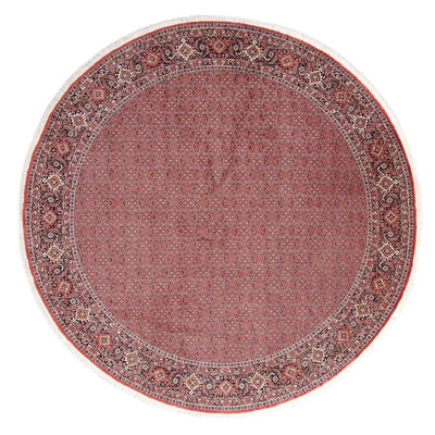 Perser Rug - Bidjar round  - 305 x 305 cm - light red