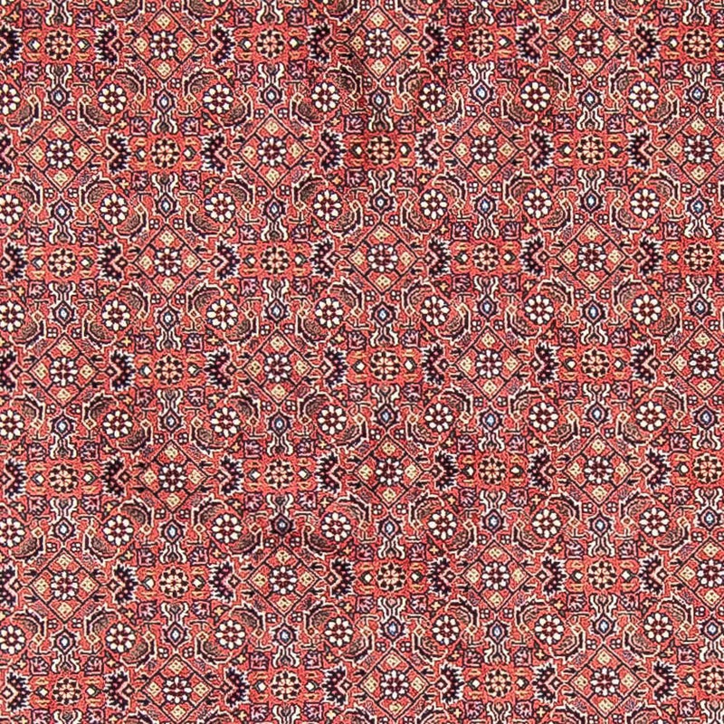 Perser Rug - Bidjar round  - 305 x 305 cm - light red