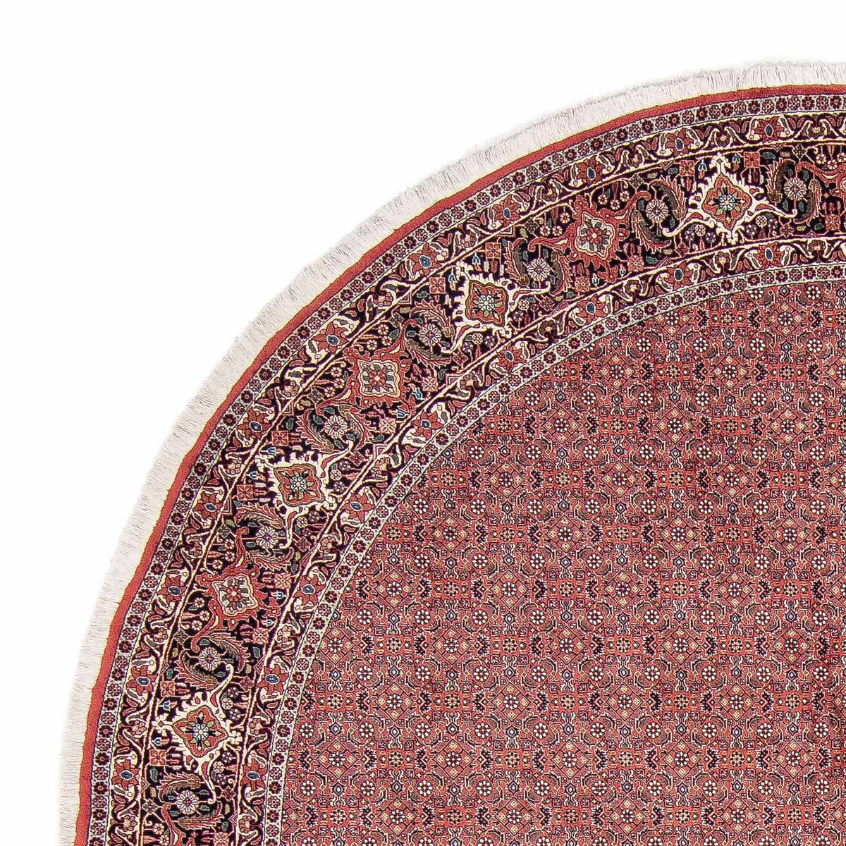 Bidjar Rug 305x305cm - Persian Rugs