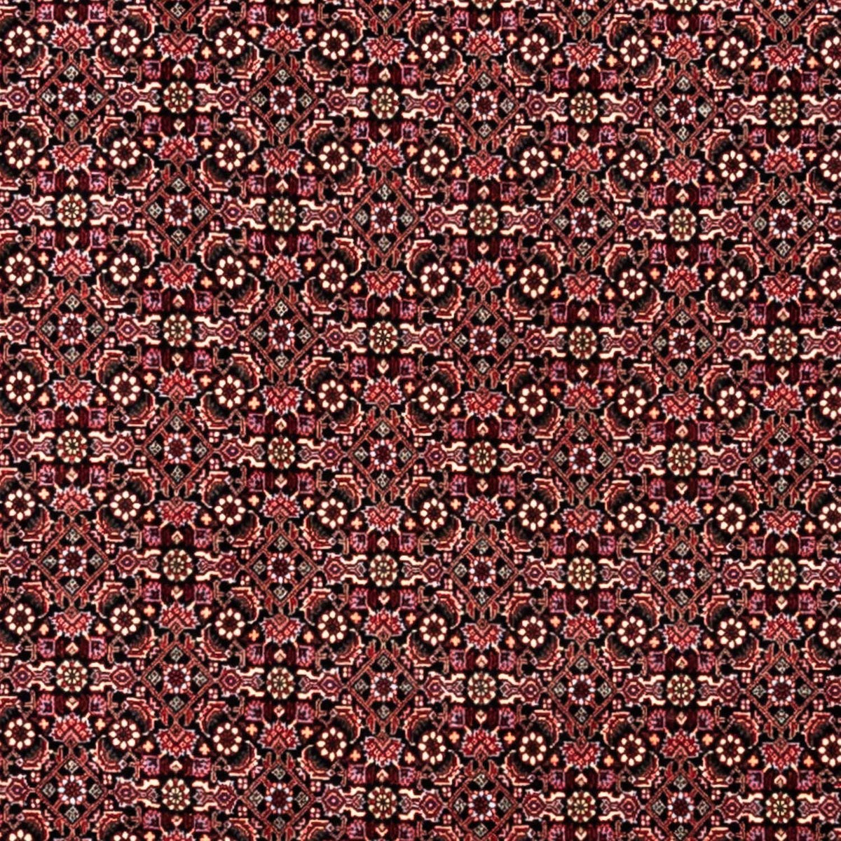 Perser Rug - Bidjar - 346 x 250 cm - dark red