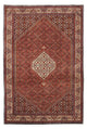 Bidjar Rug 245x167cm - Persian Rugs
