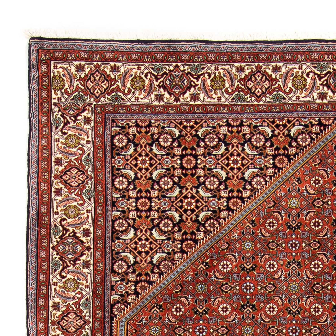 Bidjar Rug 245x167cm - Persian Rugs