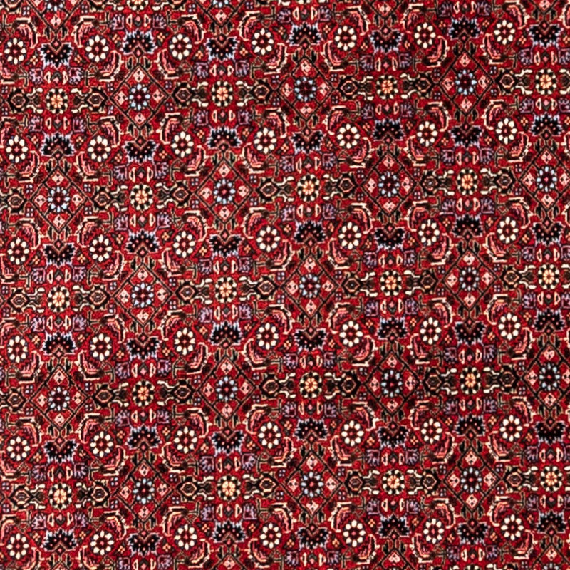 Bidjar - Takab Rug 331x254cm - Persian Rugs