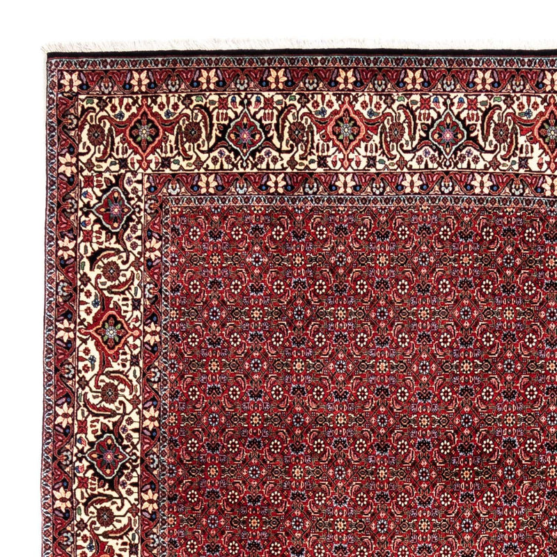 Bidjar - Takab Rug 331x254cm - Persian Rugs