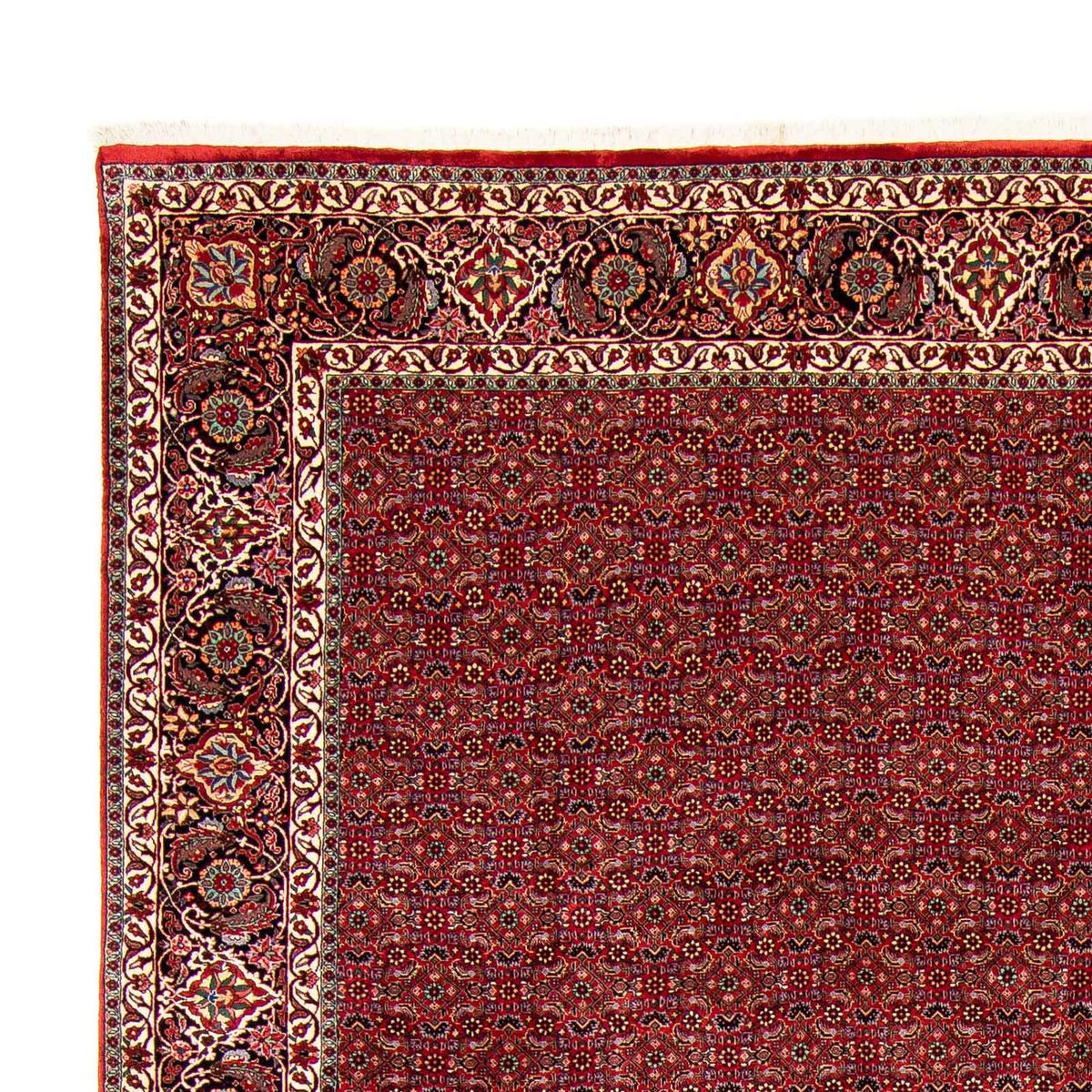 Bidjar Rug 298x381cm - Persian Rugs