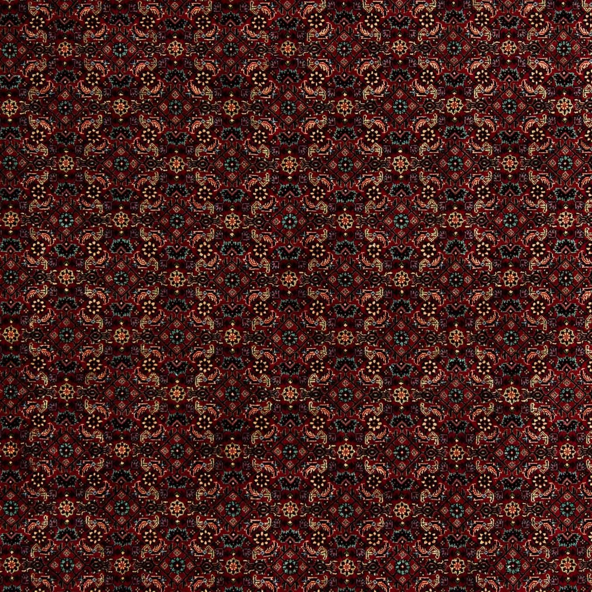 Perser Rug - Bidjar - 252 x 206 cm - dark red