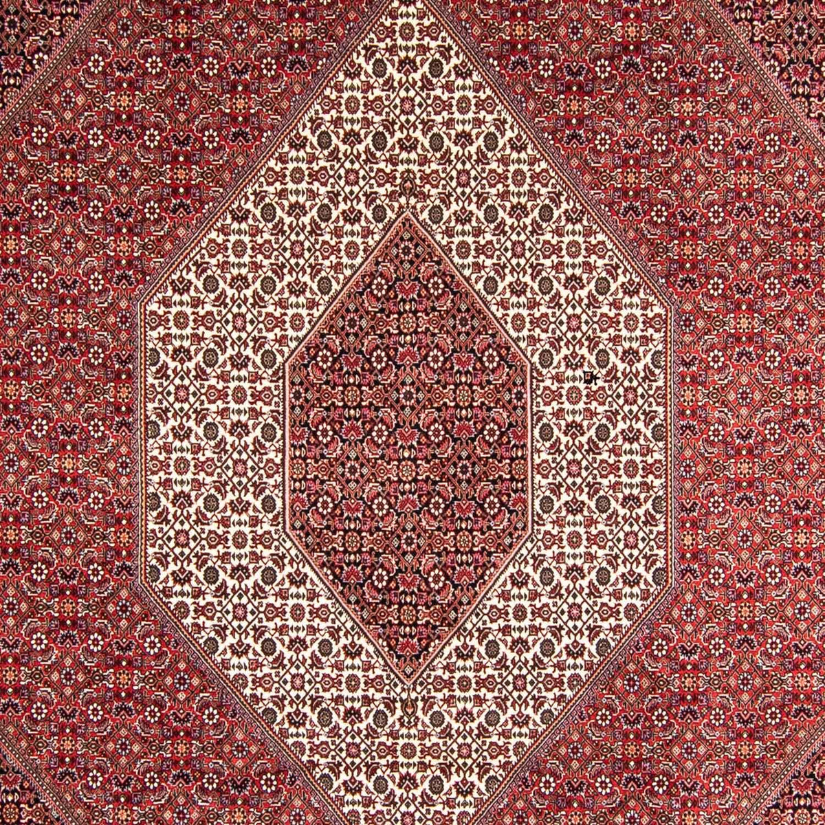 Perser Rug - Bidjar - 357 x 250 cm - light red