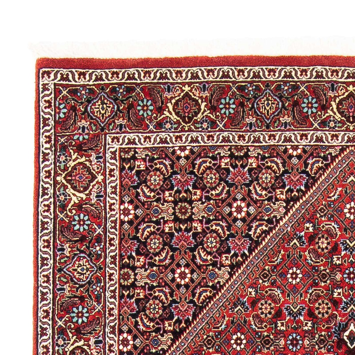 Perser Rug - Bidjar - 181 x 112 cm - red