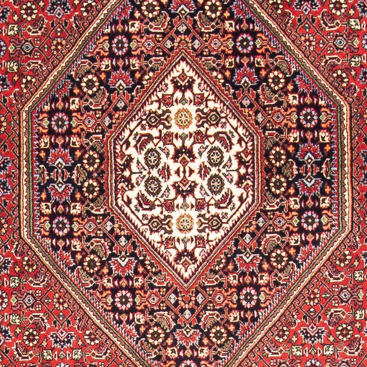 Perser Rug - Bidjar - 175 x 110 cm - red