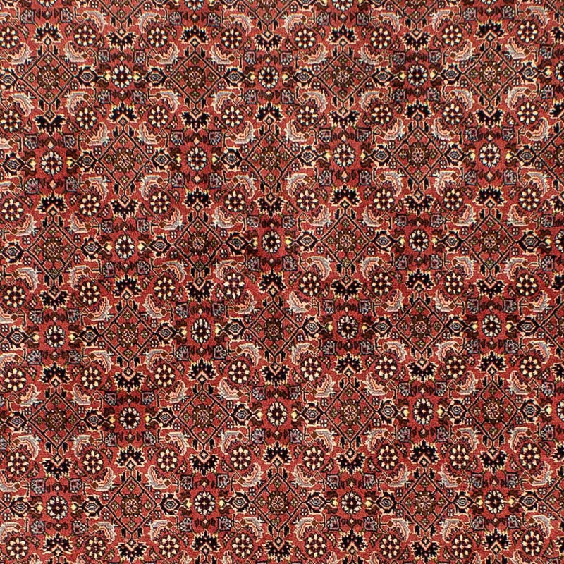 Perser Rug - Bidjar - 244 x 172 cm - dark red