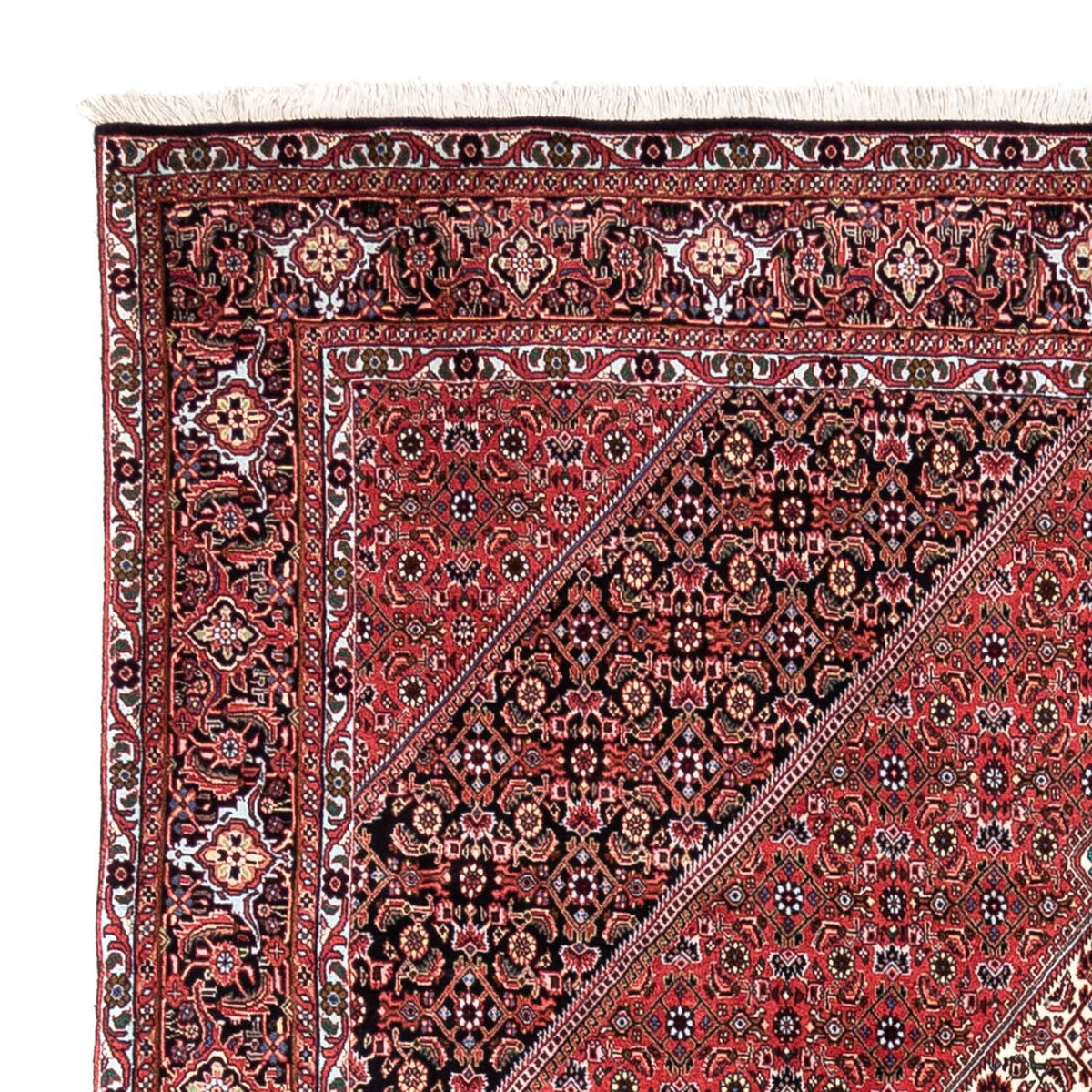 Perser Rug - Bidjar - 300 x 200 cm - red