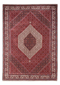 Bidjar - Takab Rug 253x360cm - Persian Rugs – product image