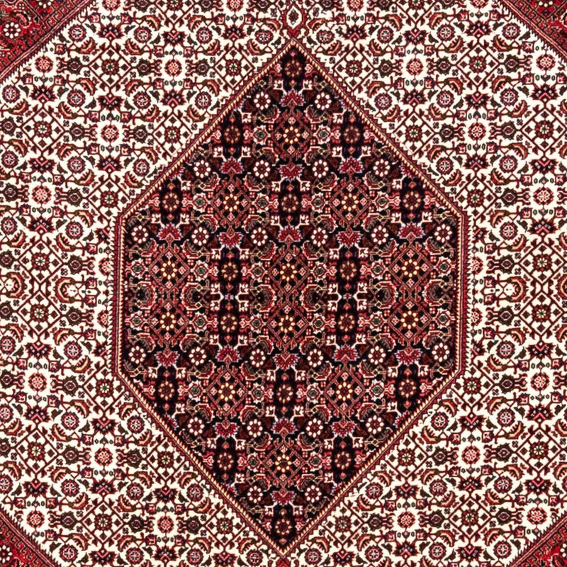 Bidjar - Takab Rug 253x360cm - Persian Rugs