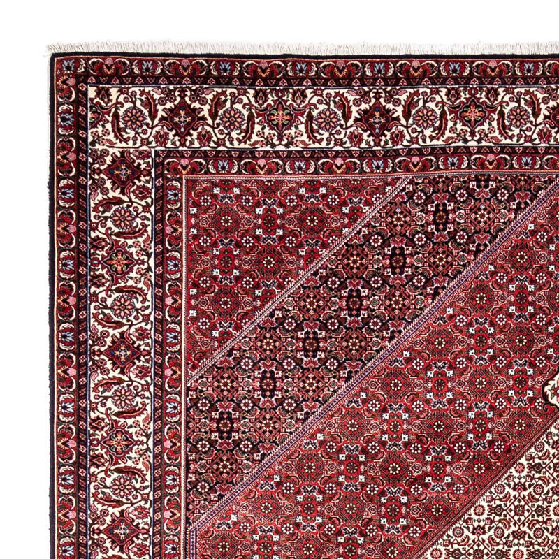Bidjar - Takab Rug 253x360cm - Persian Rugs