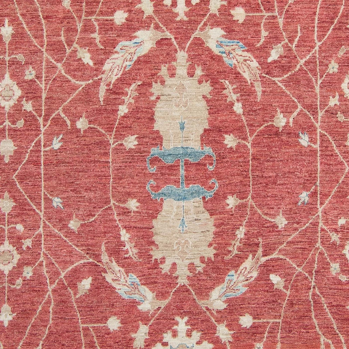 Ziegler Rug - Ariana - 296 x 238 cm - red