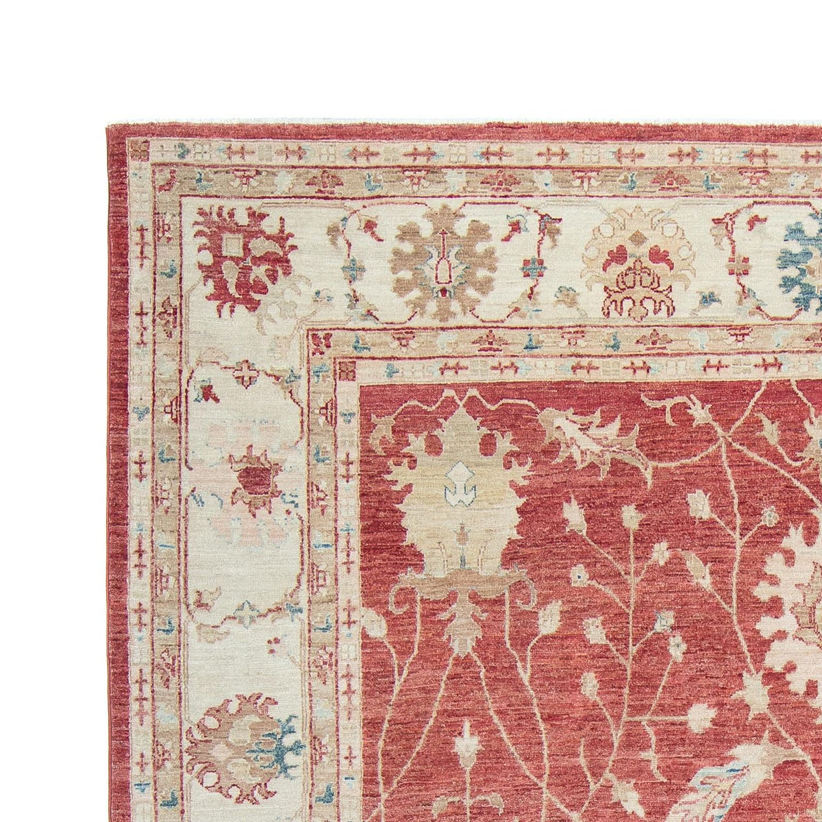 Ziegler Rug - Ariana - 296 x 238 cm - red
