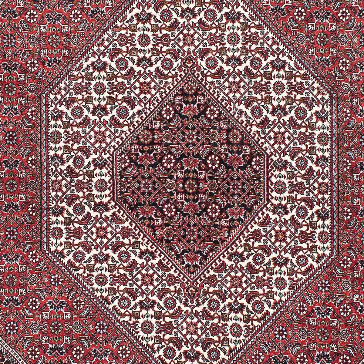 Perser Rug - Bidjar - 220 x 142 cm - red