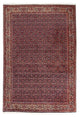 Bidjar Rug 237x168cm - Persian Rugs