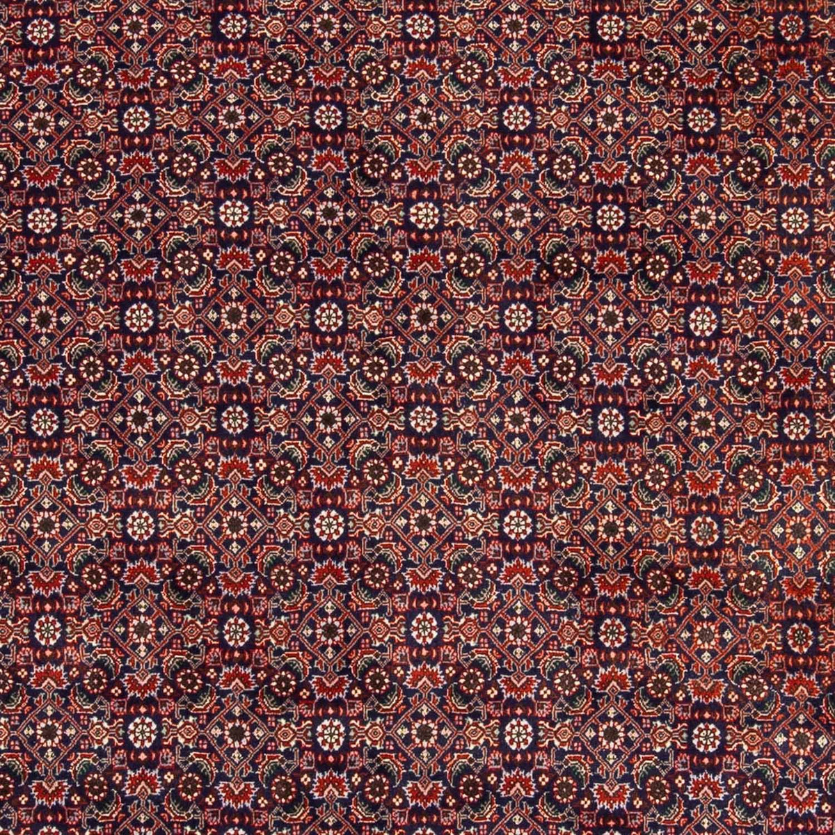 Perser Rug - Bidjar - 237 x 168 cm - light red