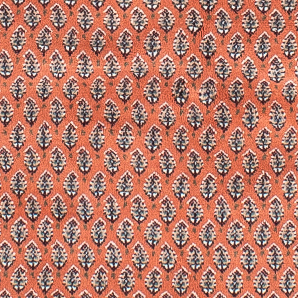 Perser Rug - Tabriz - 243 x 171 cm - light red