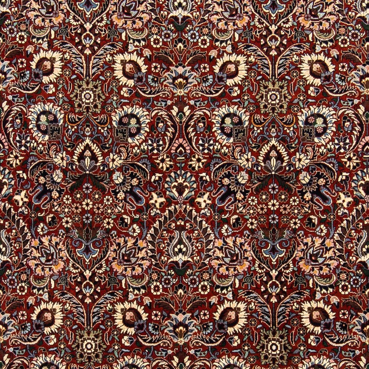 Perser Rug - Bidjar - 248 x 170 cm - brown