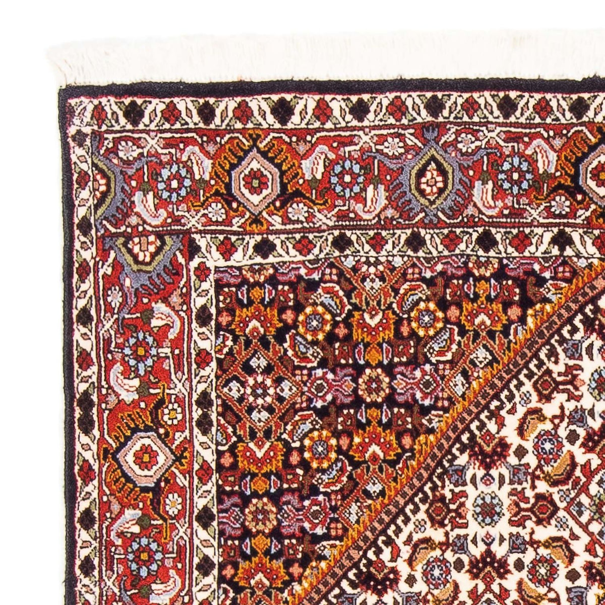 Bidjar Rug 107x165cm - Persian Rugs