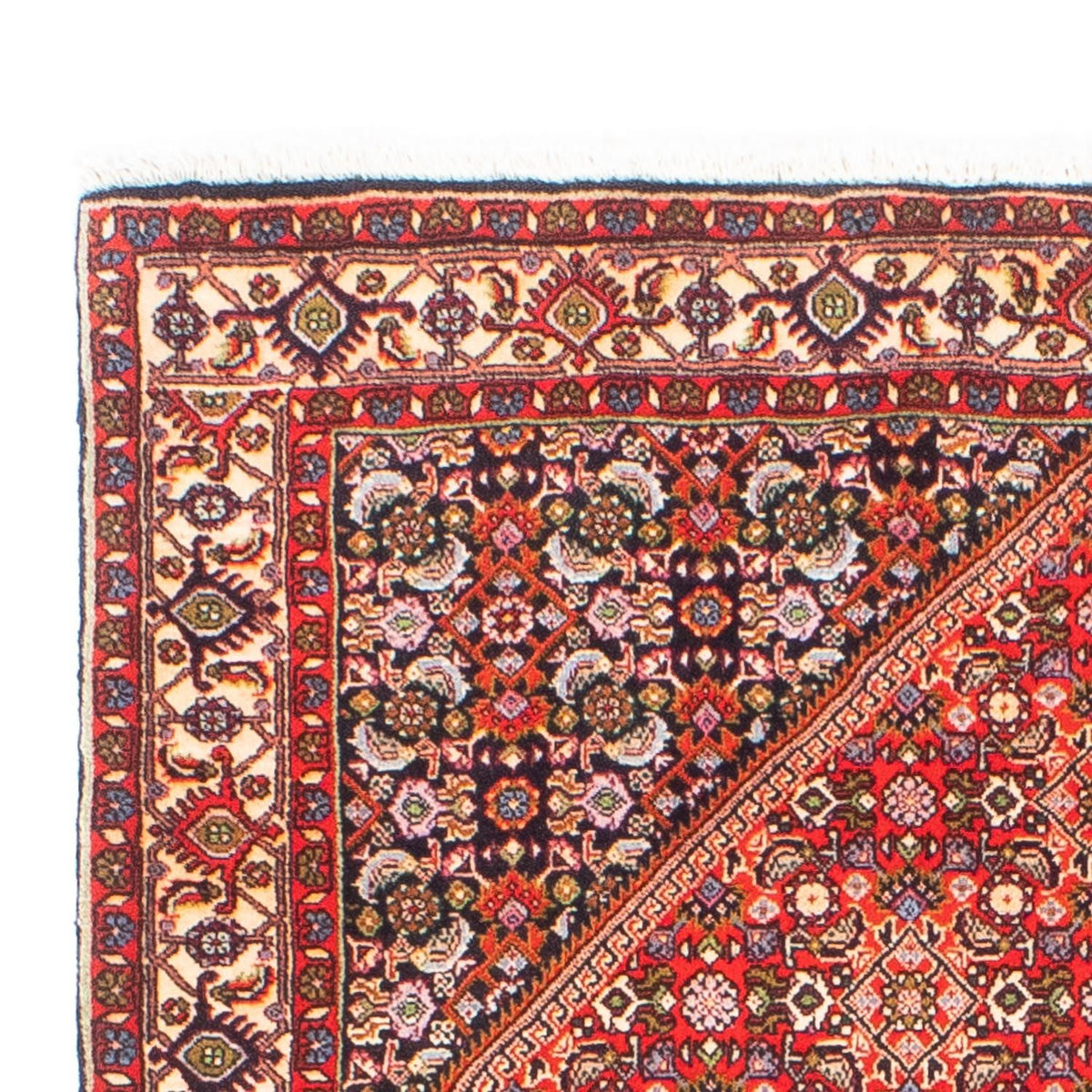 Perser Rug - Bidjar - 173 x 112 cm - red