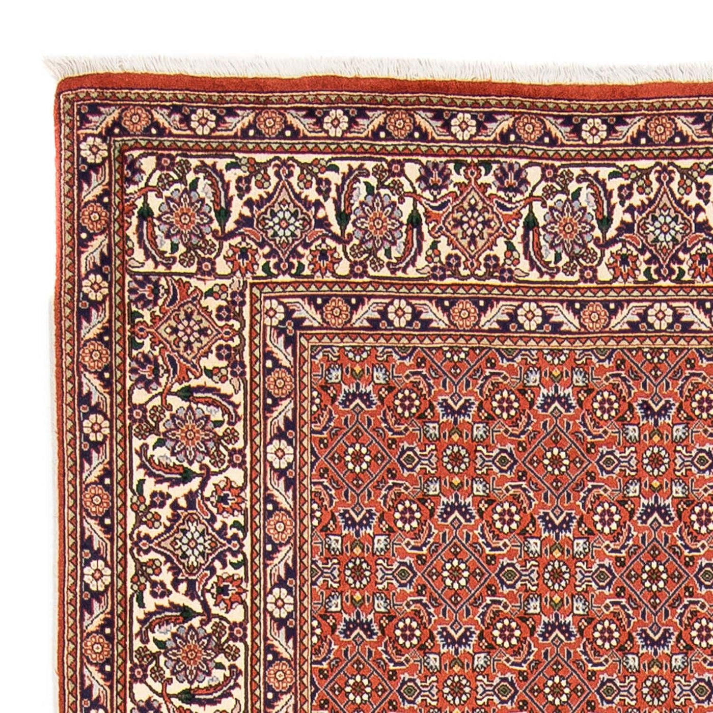 Bidjar Rug 230x168cm - Persian Rugs