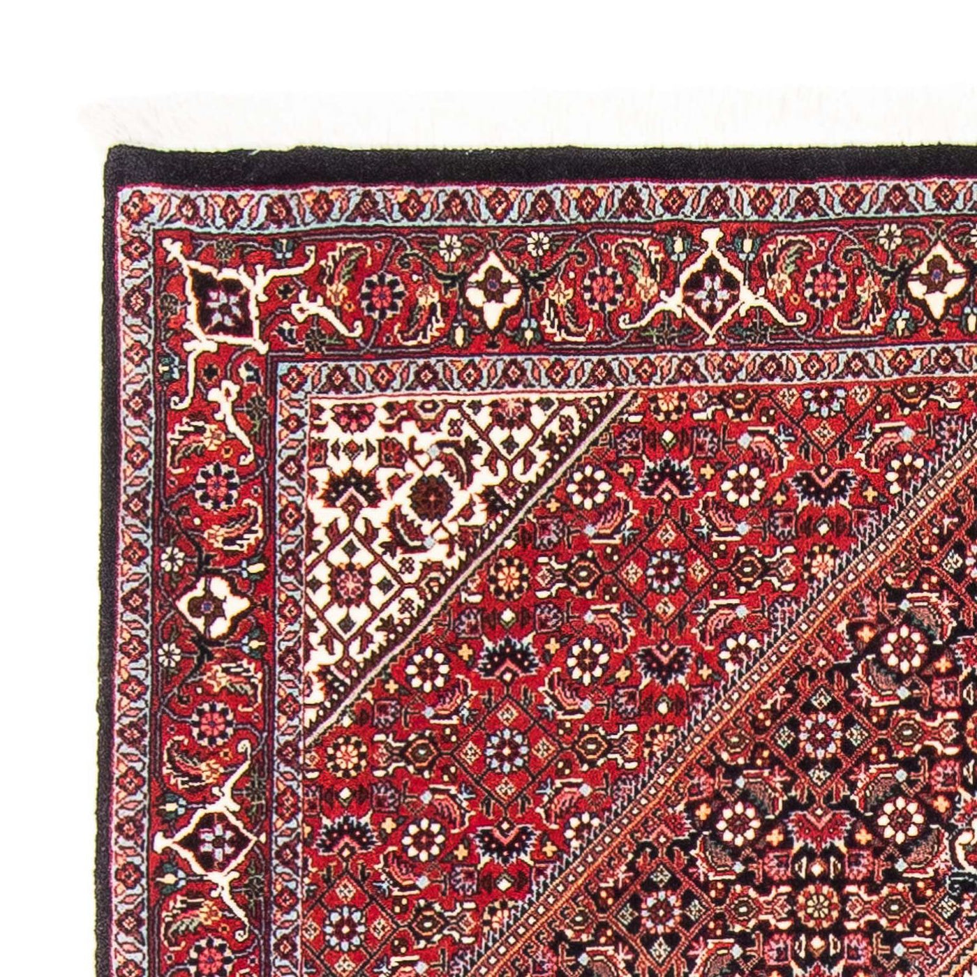 Bidjar Rug 168x106cm - Persian Rugs