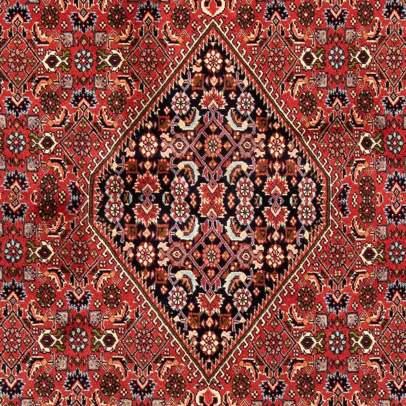 Bidjar Rug 169x247cm - Persian Rugs