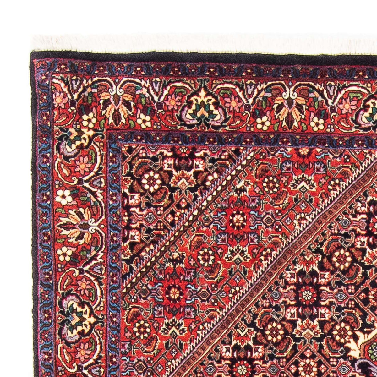 Perser Rug - Bidjar - 173 x 110 cm - red