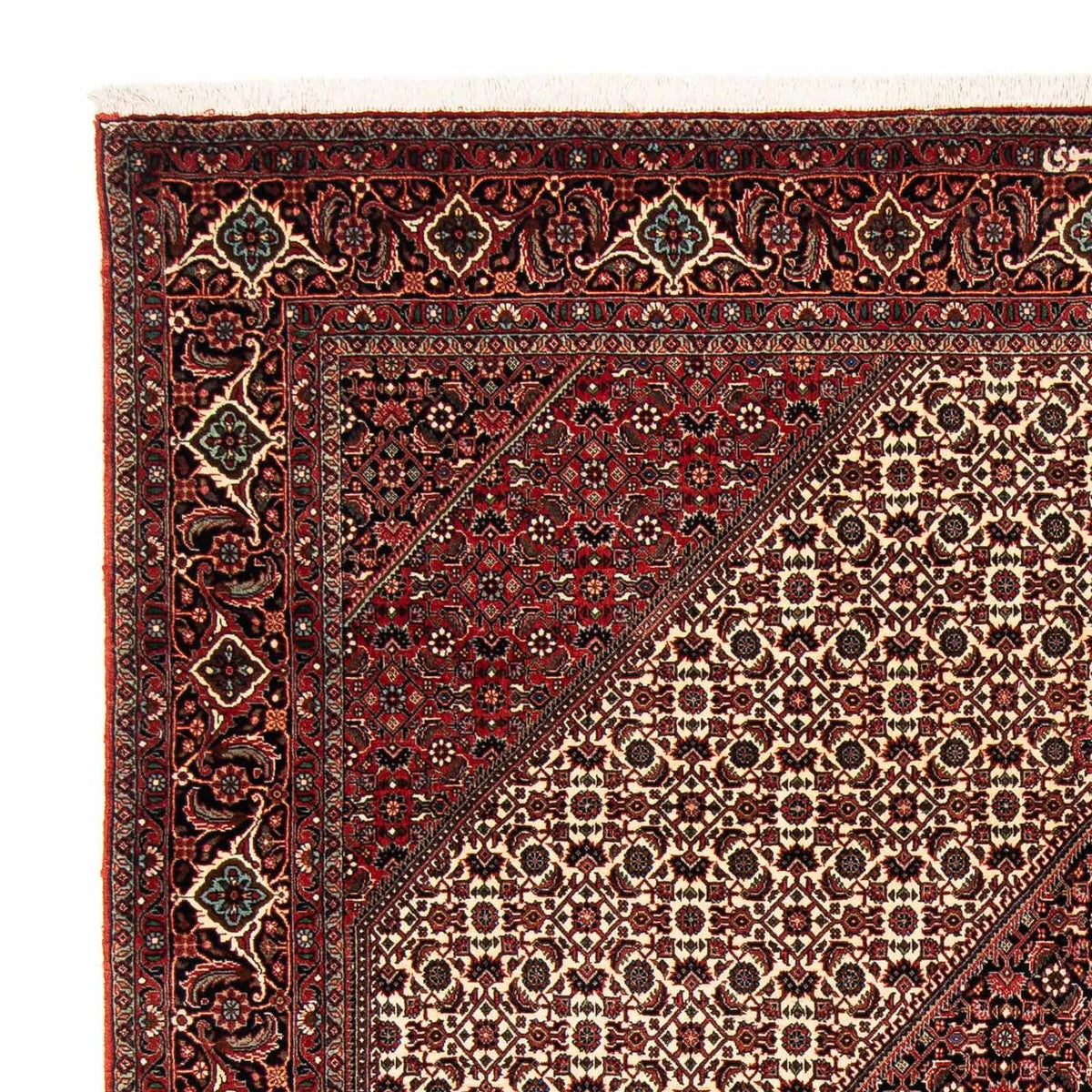Perser Rug - Bidjar - 254 x 203 cm - dark red