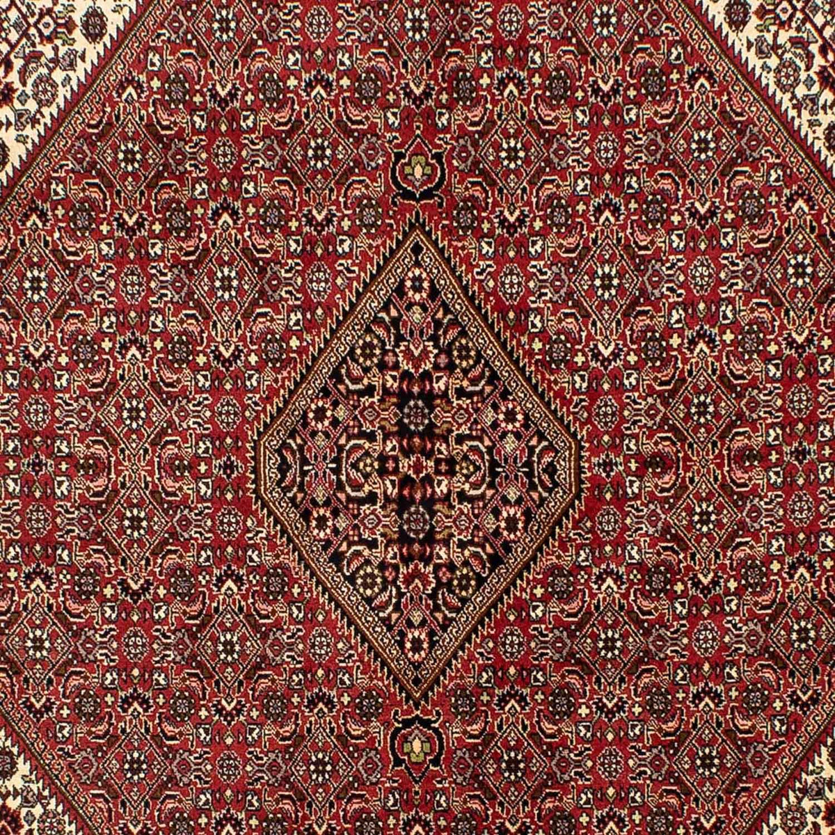 Perser Rug - Bidjar - 242 x 171 cm - dark red