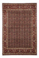 Hosseinabad Rug 170x250cm - Persian Rugs