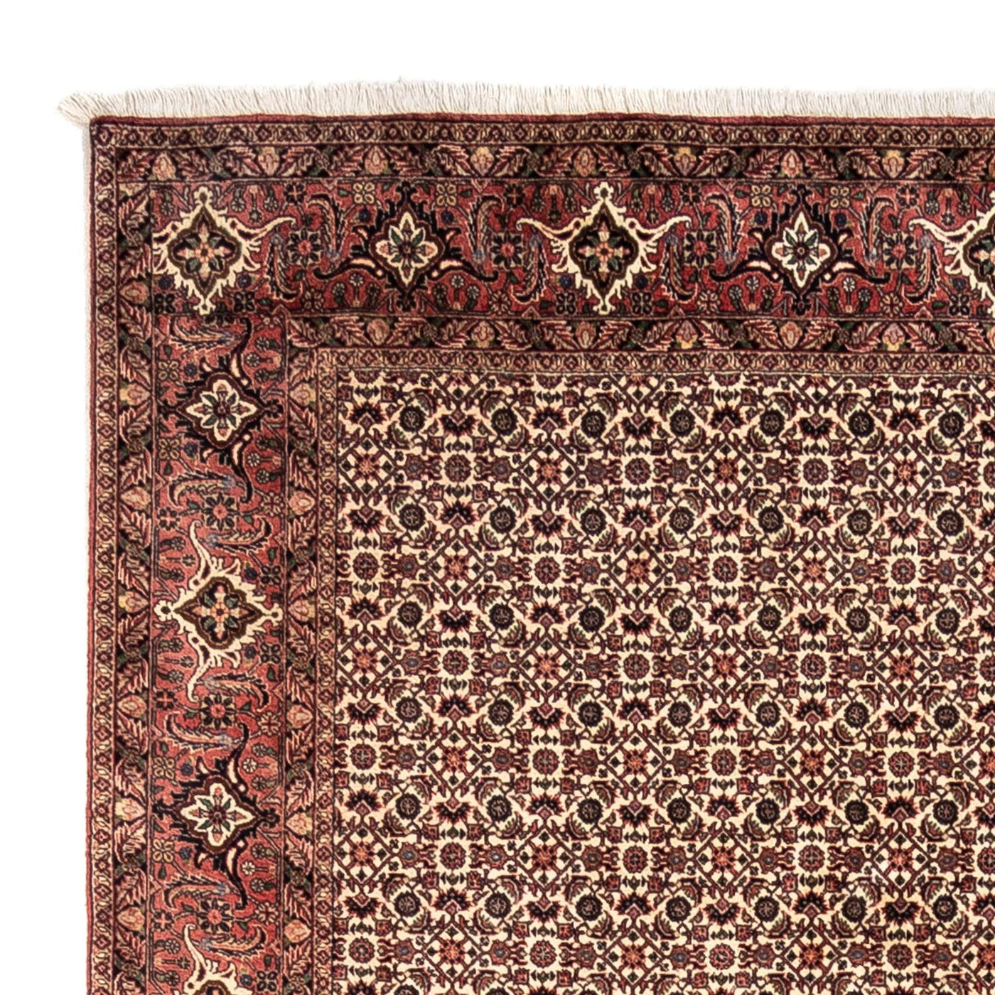 Bidjar - Takab Rug 302x208cm - Persian Rugs