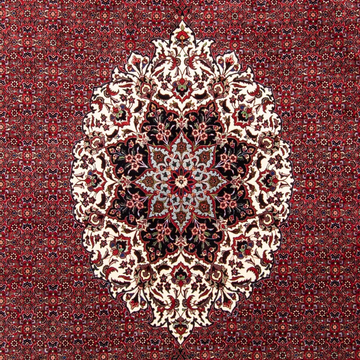 Perser Rug - Bidjar - 343 x 260 cm - dark red