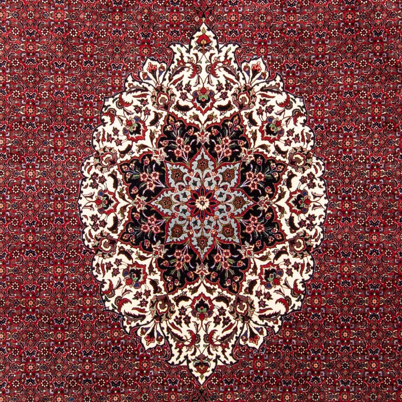 Perser Rug - Bidjar - 343 x 260 cm - dark red