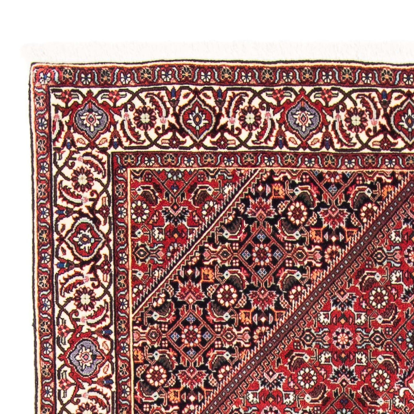 Bidjar Rug 167x104cm - Persian Rugs
