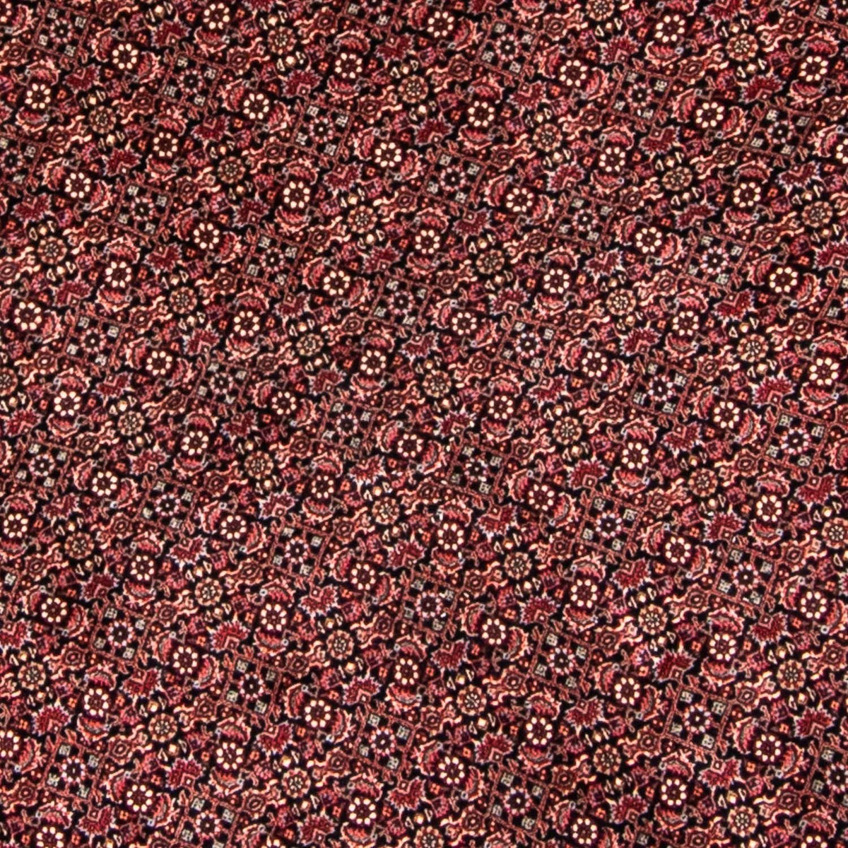 Perser Rug - Bidjar round  - 250 x 250 cm - red