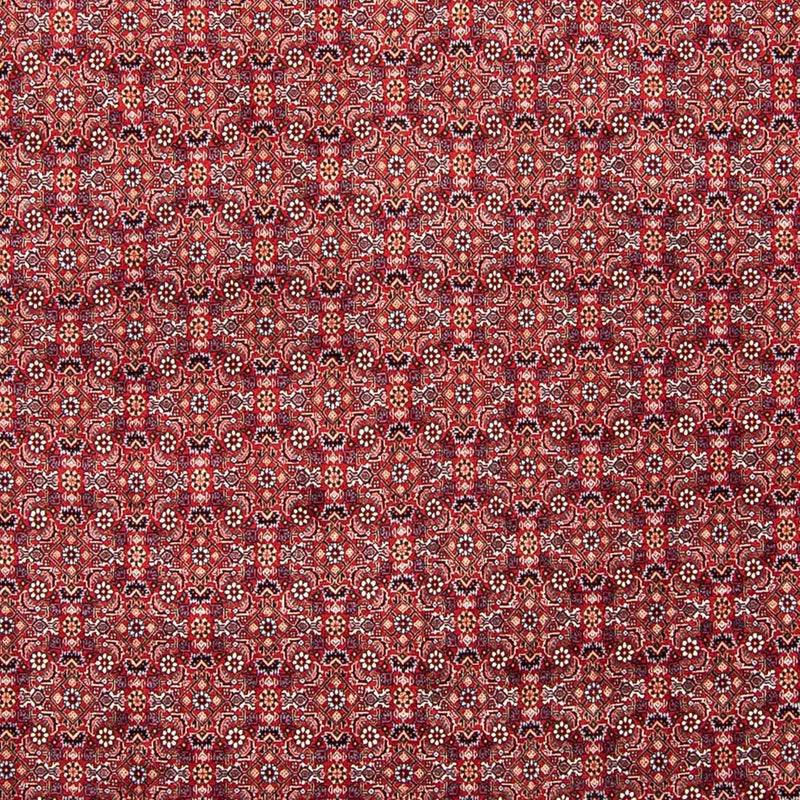 Perser Rug - Bidjar - 347 x 248 cm - red