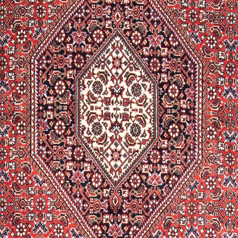 Bidjar Rug 169x111cm - Persian Rugs