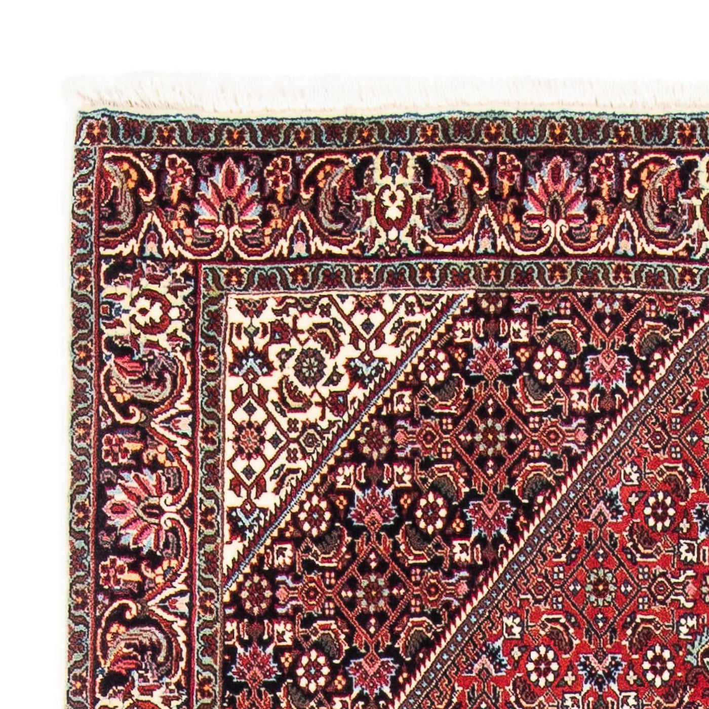 Bidjar Rug 169x111cm - Persian Rugs