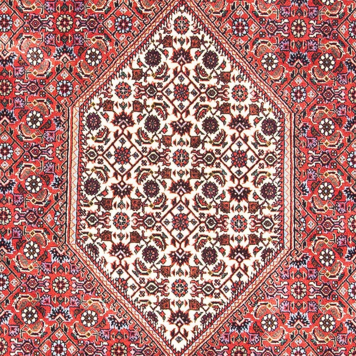 Perser Rug - Bidjar - 178 x 110 cm - red