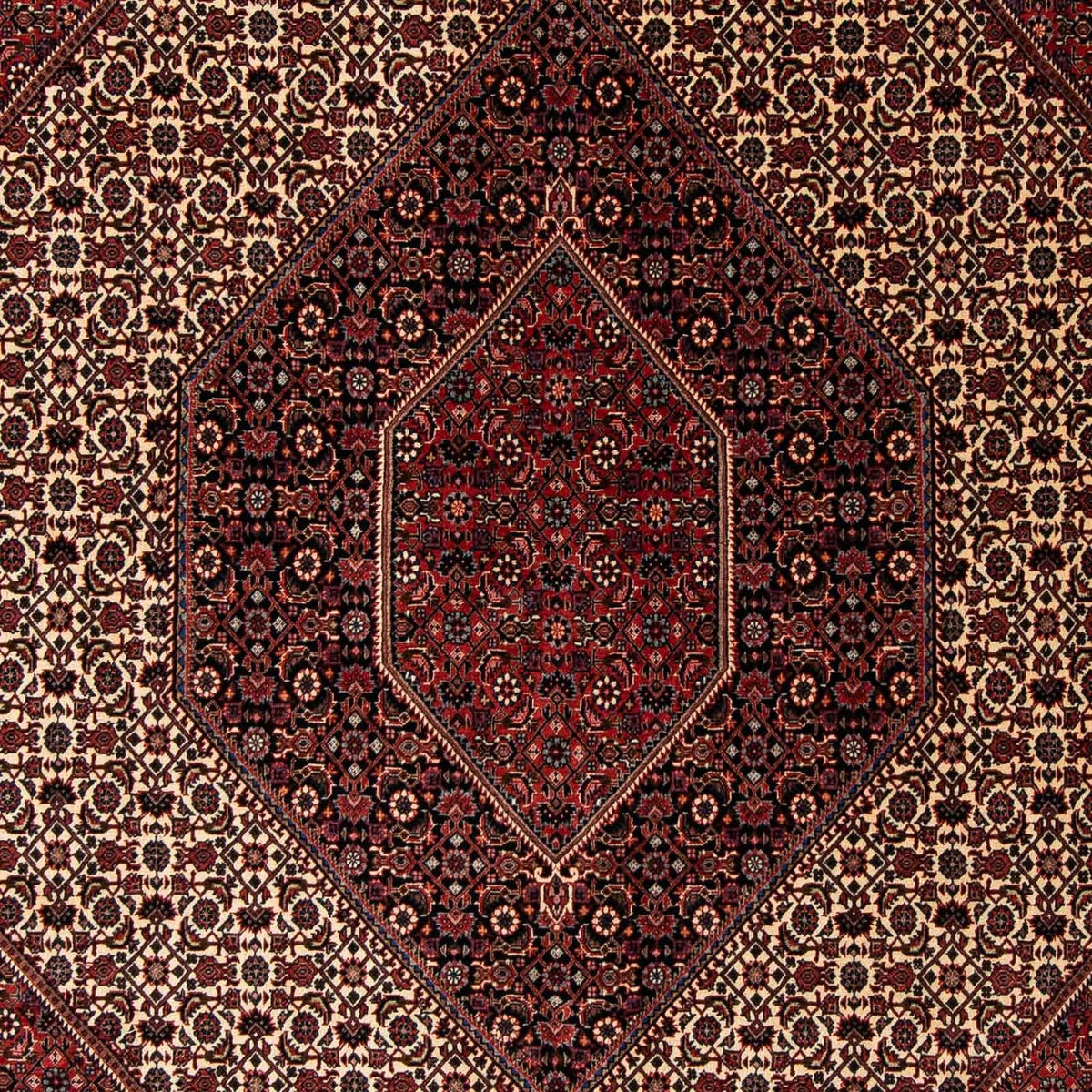Perser Rug - Bidjar - 245 x 202 cm - dark red
