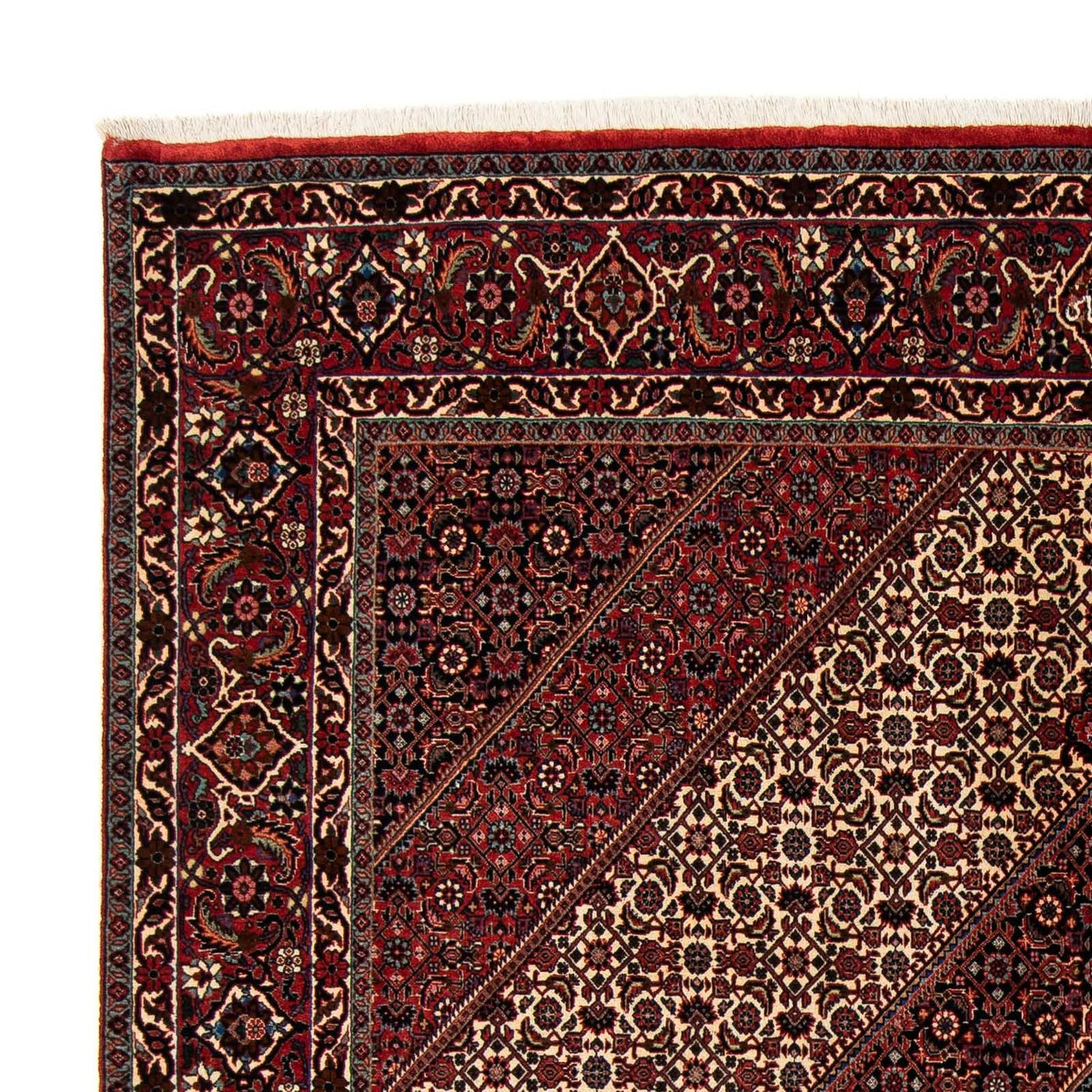 Bidjar Rug 245x202cm - Persian Rugs